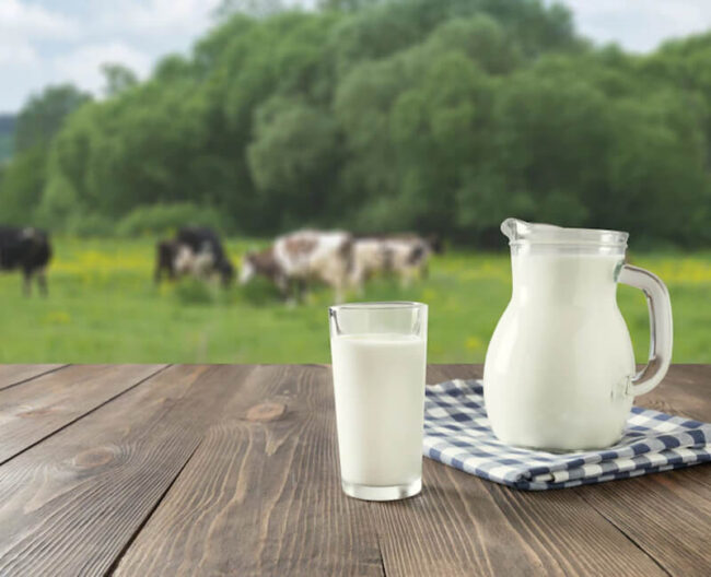 interesting facts about milk