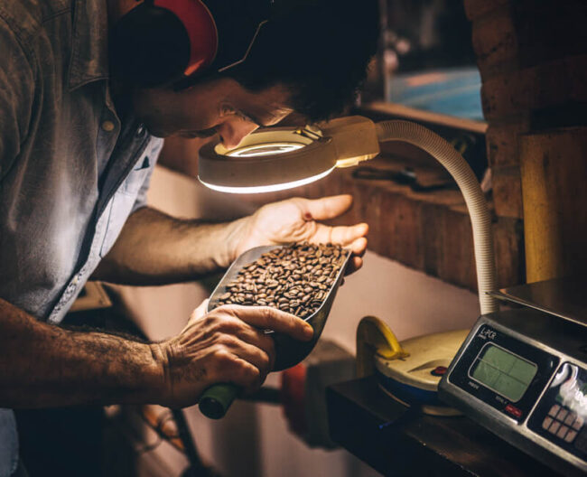 stages of coffee roasting