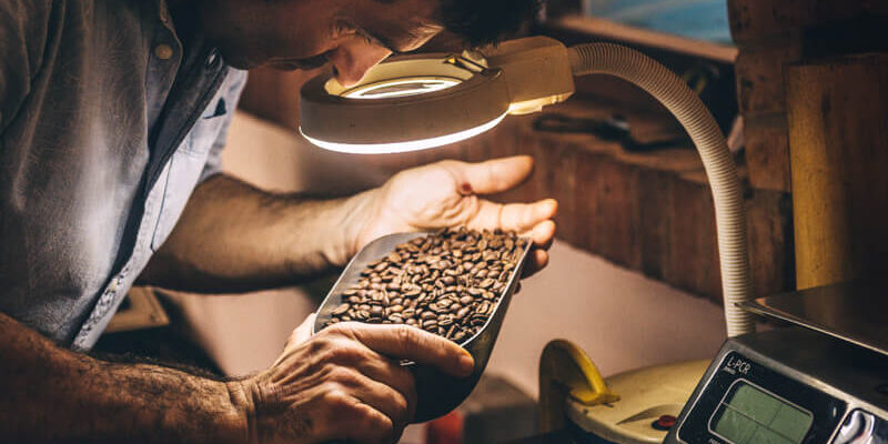 stages of coffee roasting